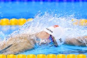 世界乒乓球俱乐部职业化峰会：治理与商业化并行探讨，世界乒乓球协会改规则